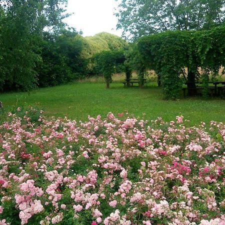 Agriturismo Il Magicorto Cassola Ngoại thất bức ảnh