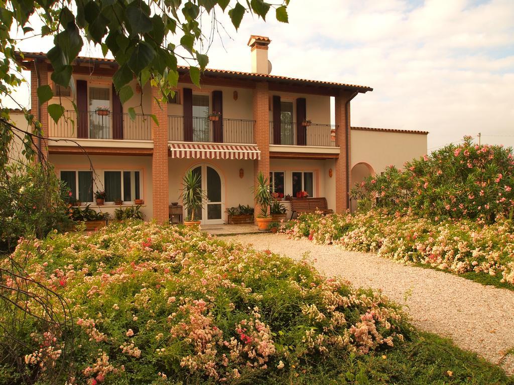 Agriturismo Il Magicorto Cassola Ngoại thất bức ảnh
