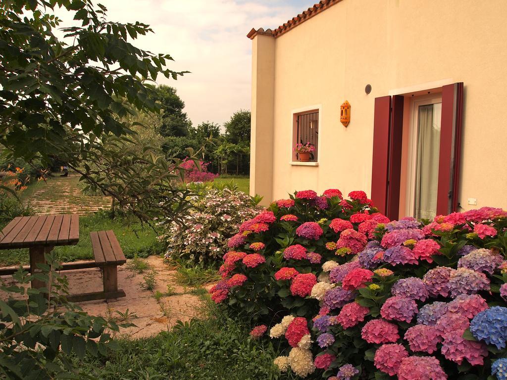 Agriturismo Il Magicorto Cassola Phòng bức ảnh