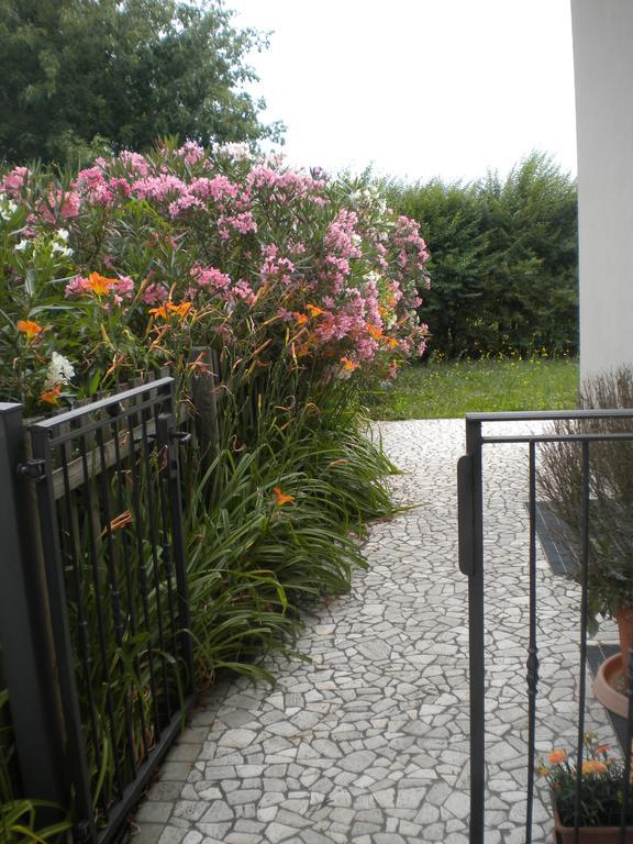 Agriturismo Il Magicorto Cassola Phòng bức ảnh