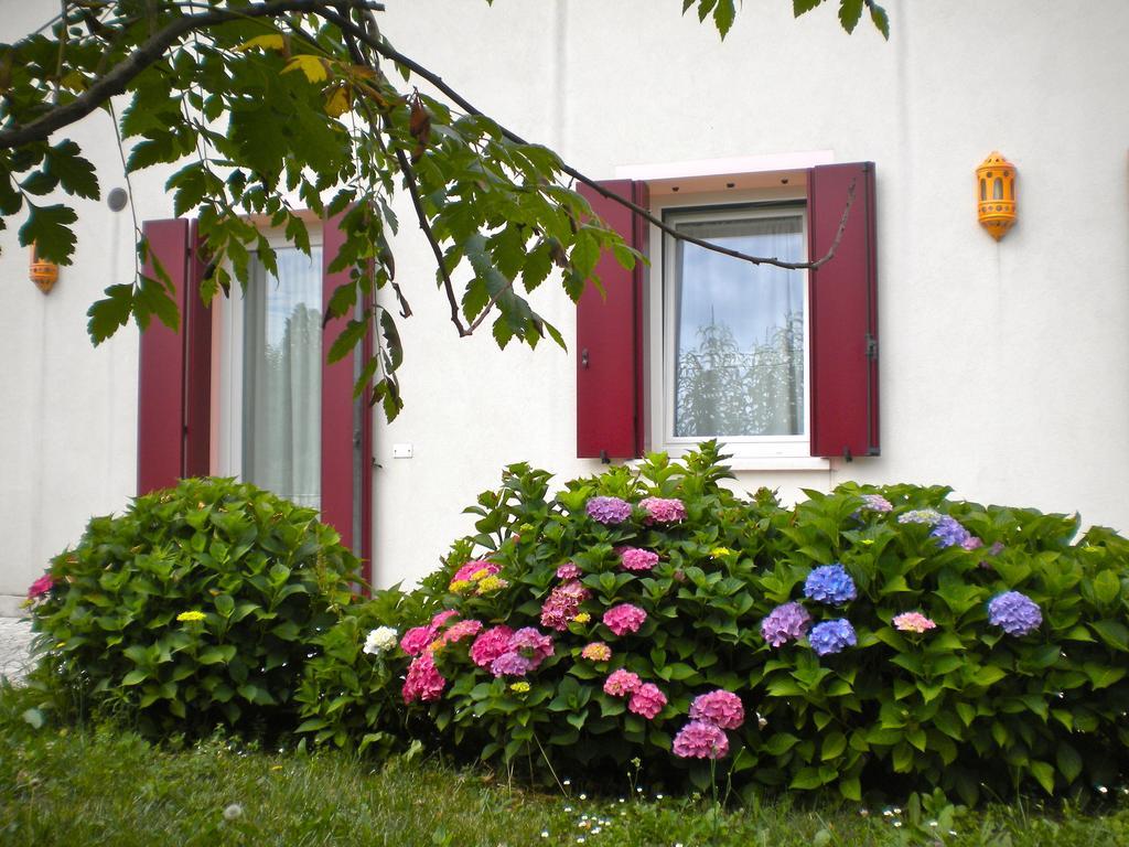 Agriturismo Il Magicorto Cassola Phòng bức ảnh