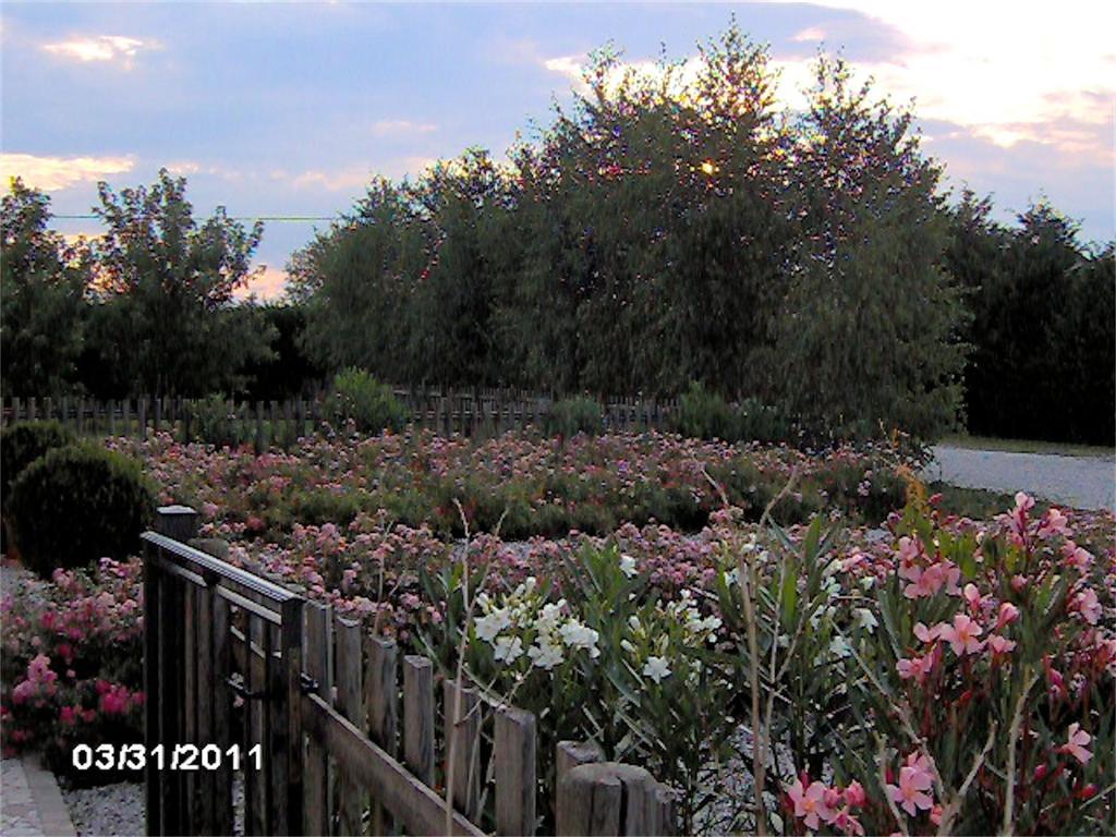 Agriturismo Il Magicorto Cassola Ngoại thất bức ảnh
