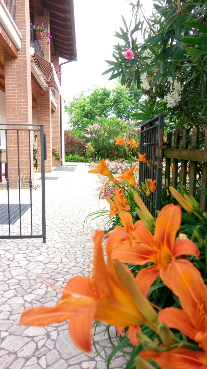 Agriturismo Il Magicorto Cassola Ngoại thất bức ảnh
