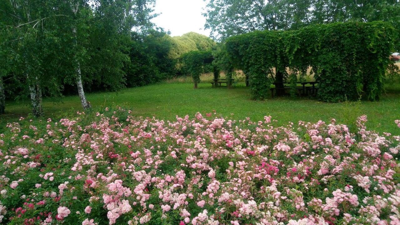 Agriturismo Il Magicorto Cassola Ngoại thất bức ảnh