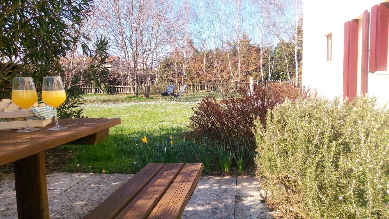 Agriturismo Il Magicorto Cassola Ngoại thất bức ảnh