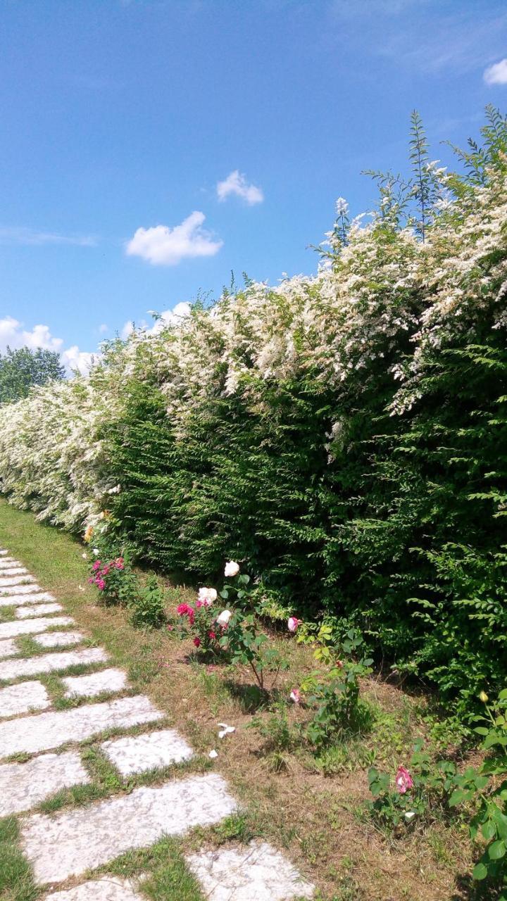 Agriturismo Il Magicorto Cassola Ngoại thất bức ảnh
